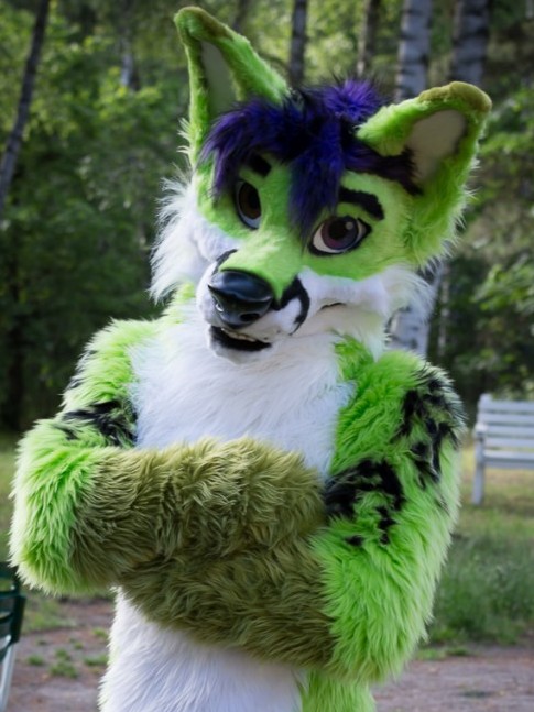 Fursuit Details Page for Isaac Fox